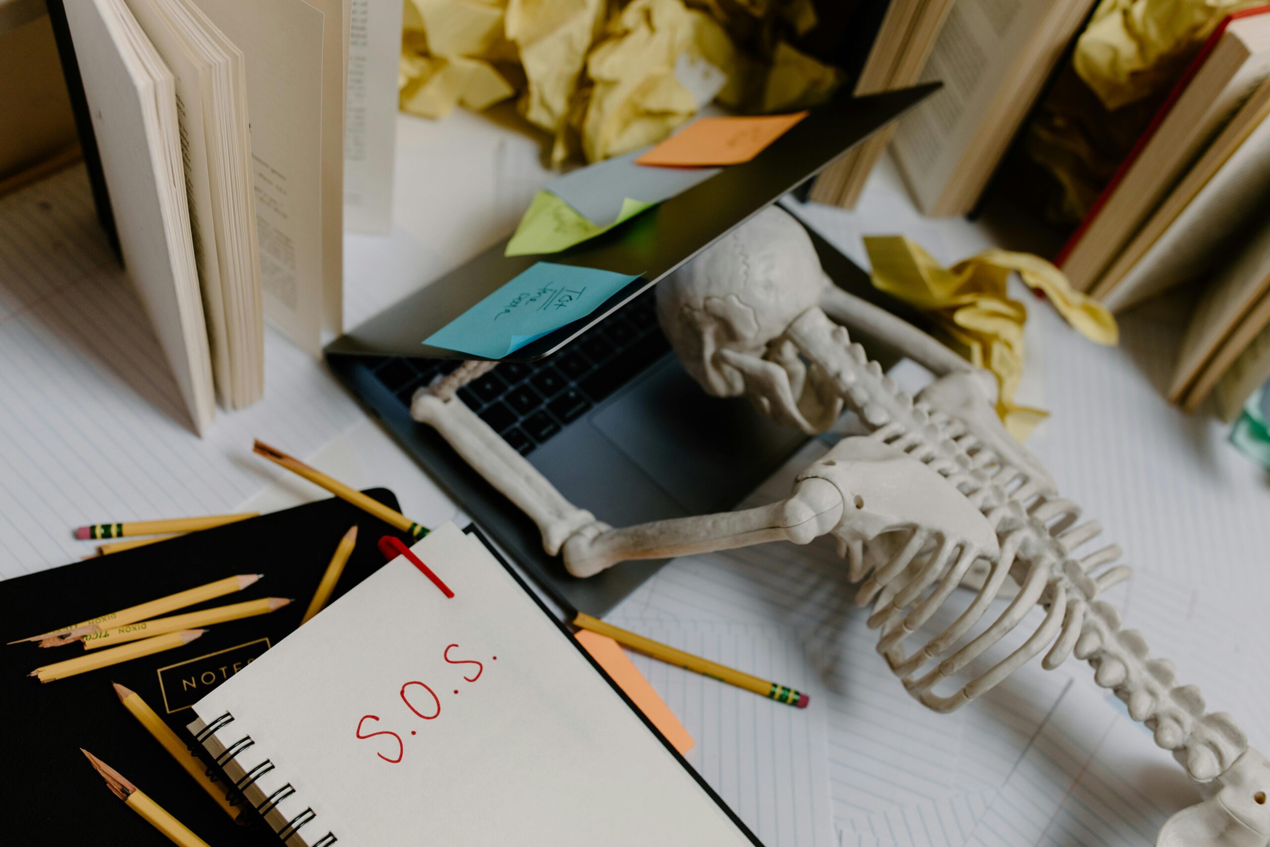 Founders Don't Get Fired Blog Post Enjoy The Work