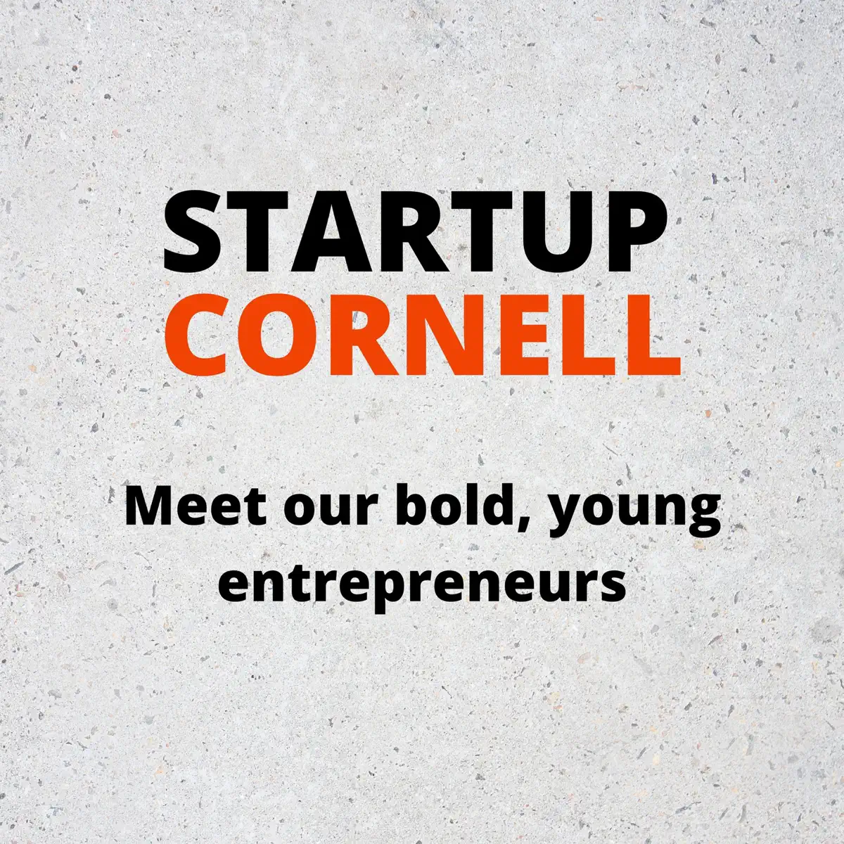 startup cornell